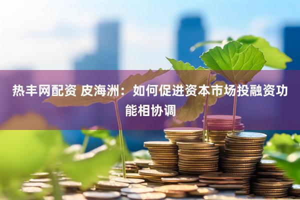 热丰网配资 皮海洲：如何促进资本市场投融资功能相协调