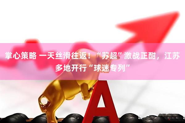 掌心策略 一天丝滑往返！“苏超”激战正酣，江苏多地开行“球迷专列”