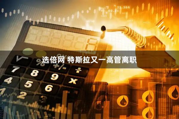 选倍网 特斯拉又一高管离职