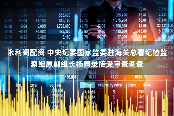 永利阁配资 中央纪委国家监委驻海关总署纪检监察组原副组长杨青录接受审查调查