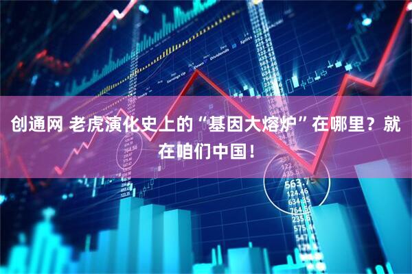 创通网 老虎演化史上的“基因大熔炉”在哪里？就在咱们中国！
