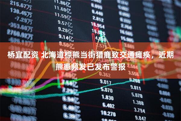 桥宜配资 北海道棕熊当街猎鹿致交通瘫痪，近期熊患频发已发布警报