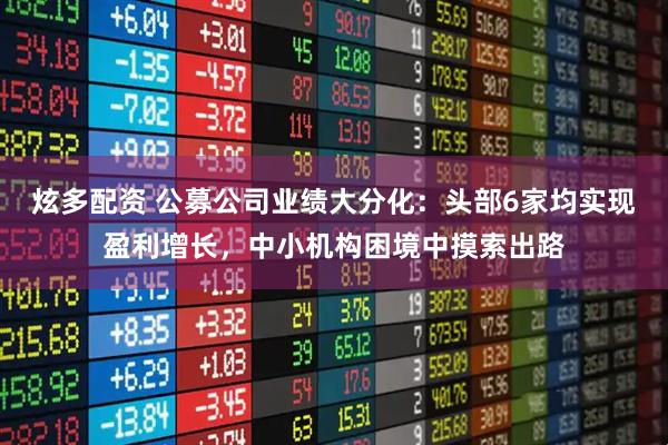 炫多配资 公募公司业绩大分化：头部6家均实现盈利增长，中小机构困境中摸索出路