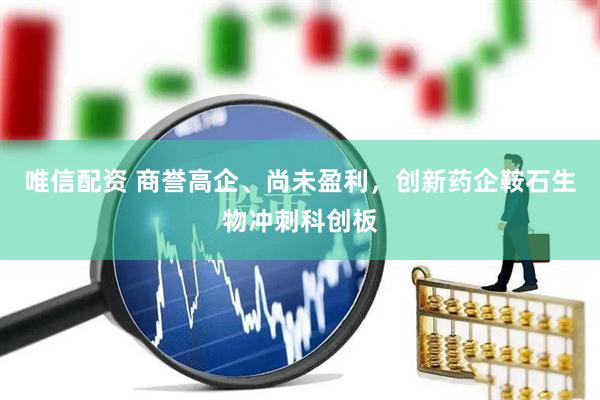 唯信配资 商誉高企、尚未盈利，创新药企鞍石生物冲刺科创板