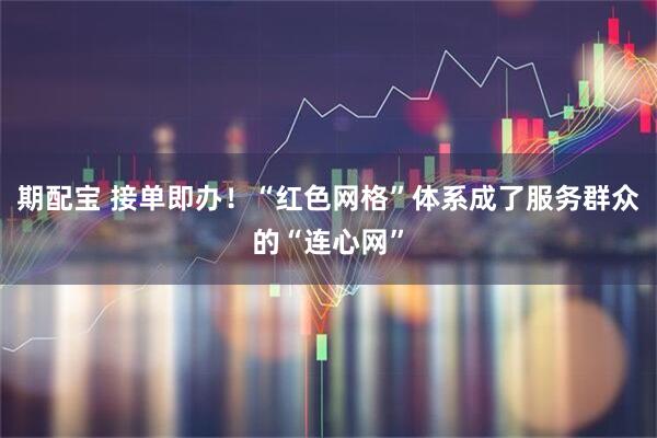 期配宝 接单即办！“红色网格”体系成了服务群众的“连心网”