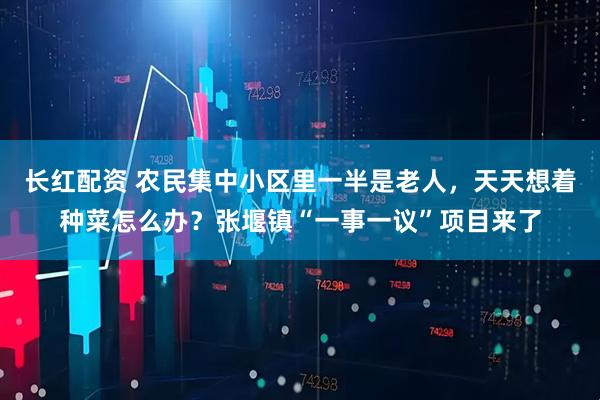 长红配资 农民集中小区里一半是老人，天天想着种菜怎么办？张堰镇“一事一议”项目来了